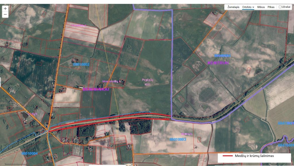 ben