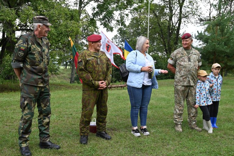 vicemerė
