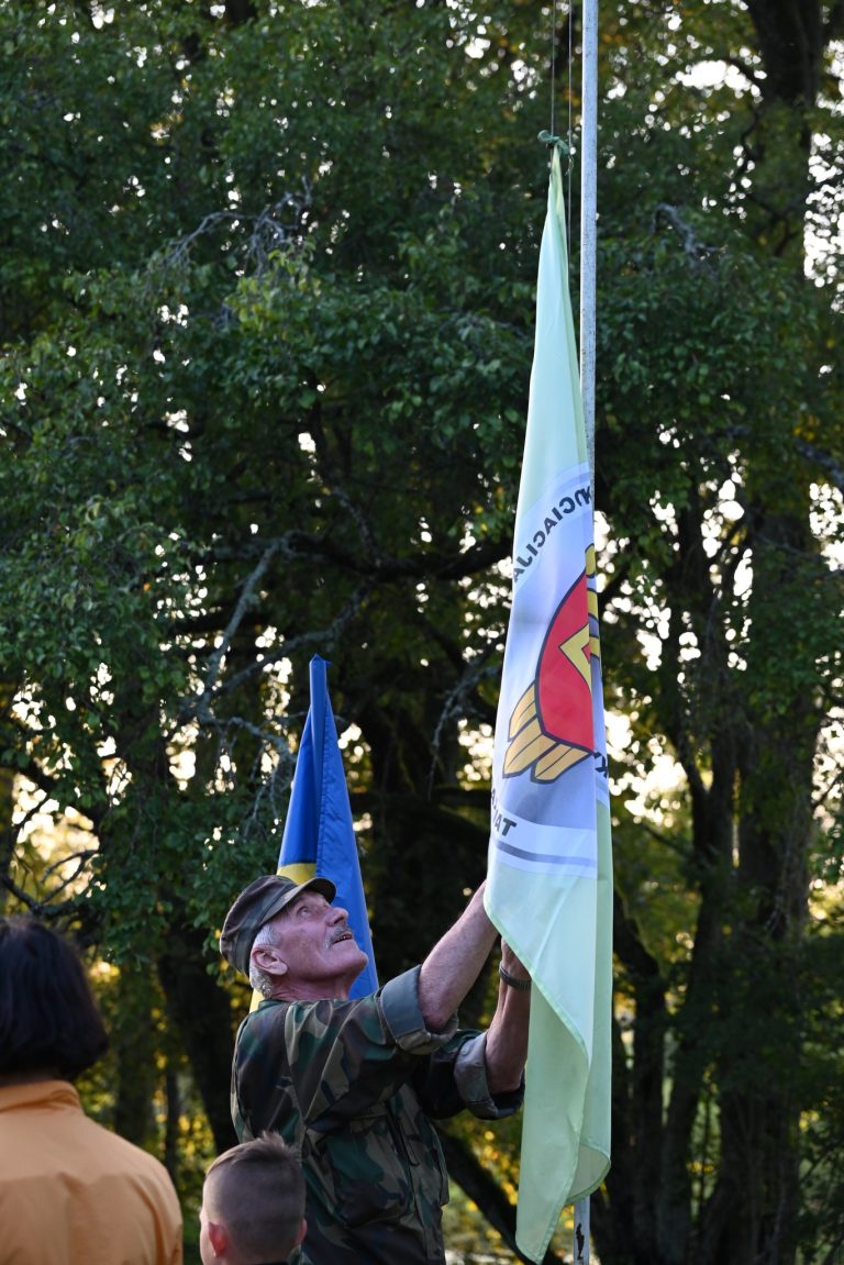 vėliava