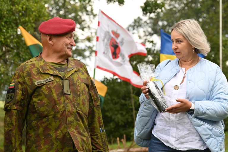 vicemerė