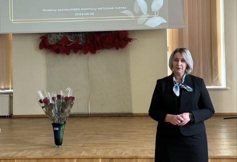 vicemerė