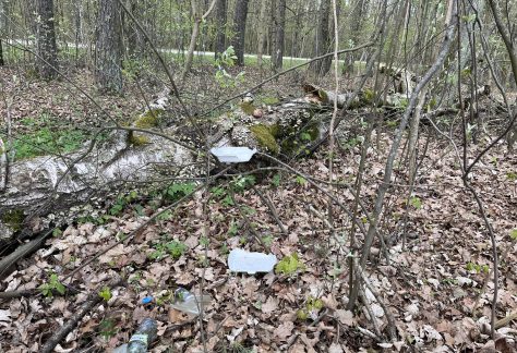 šiukšlės