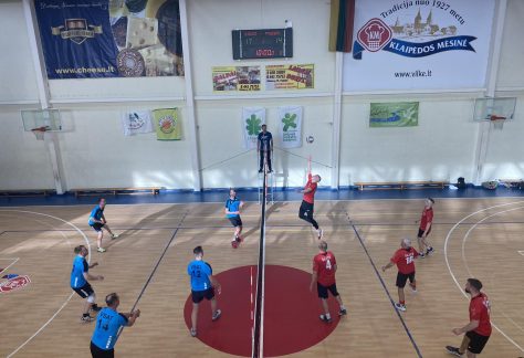 žaidimas