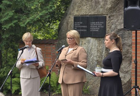 vicemerė