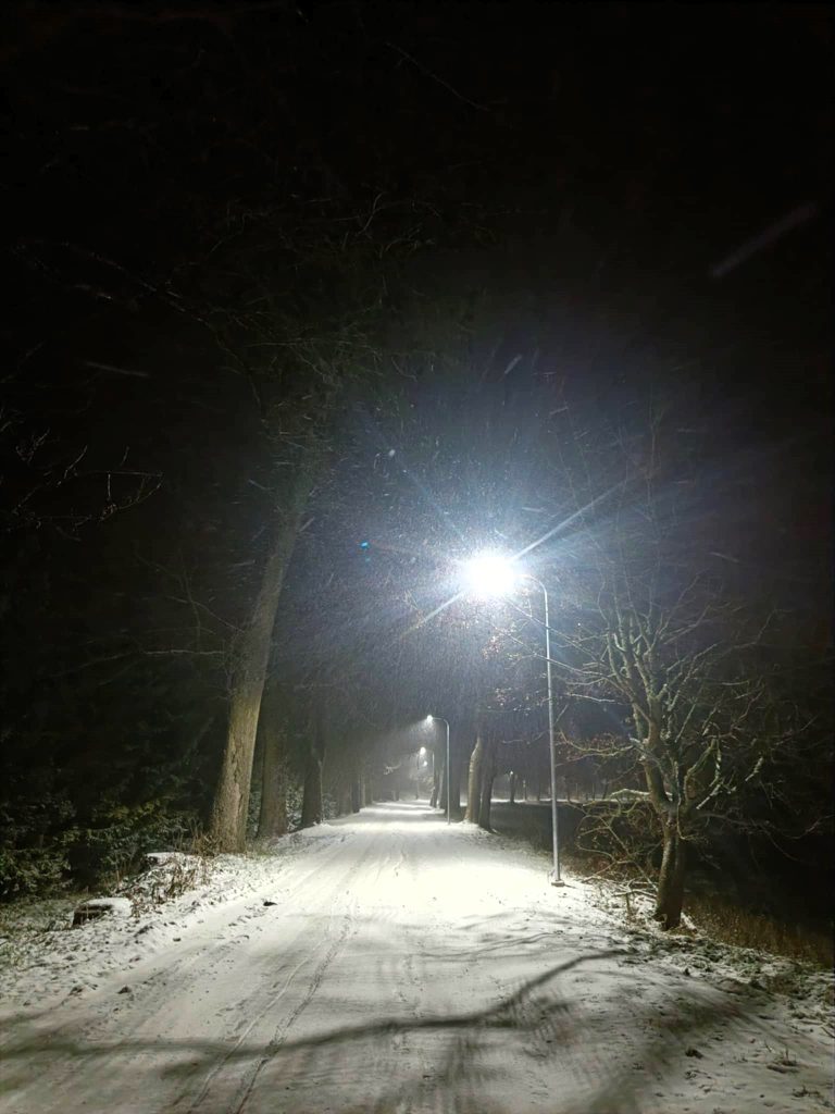 šviesa