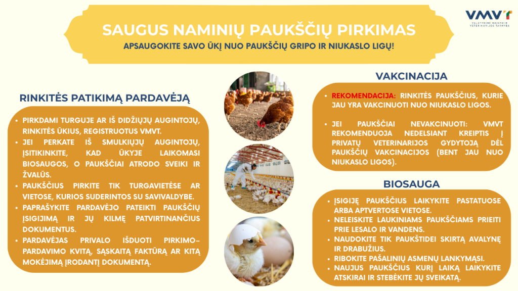 pranešimas