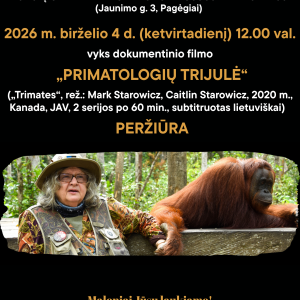 gorila