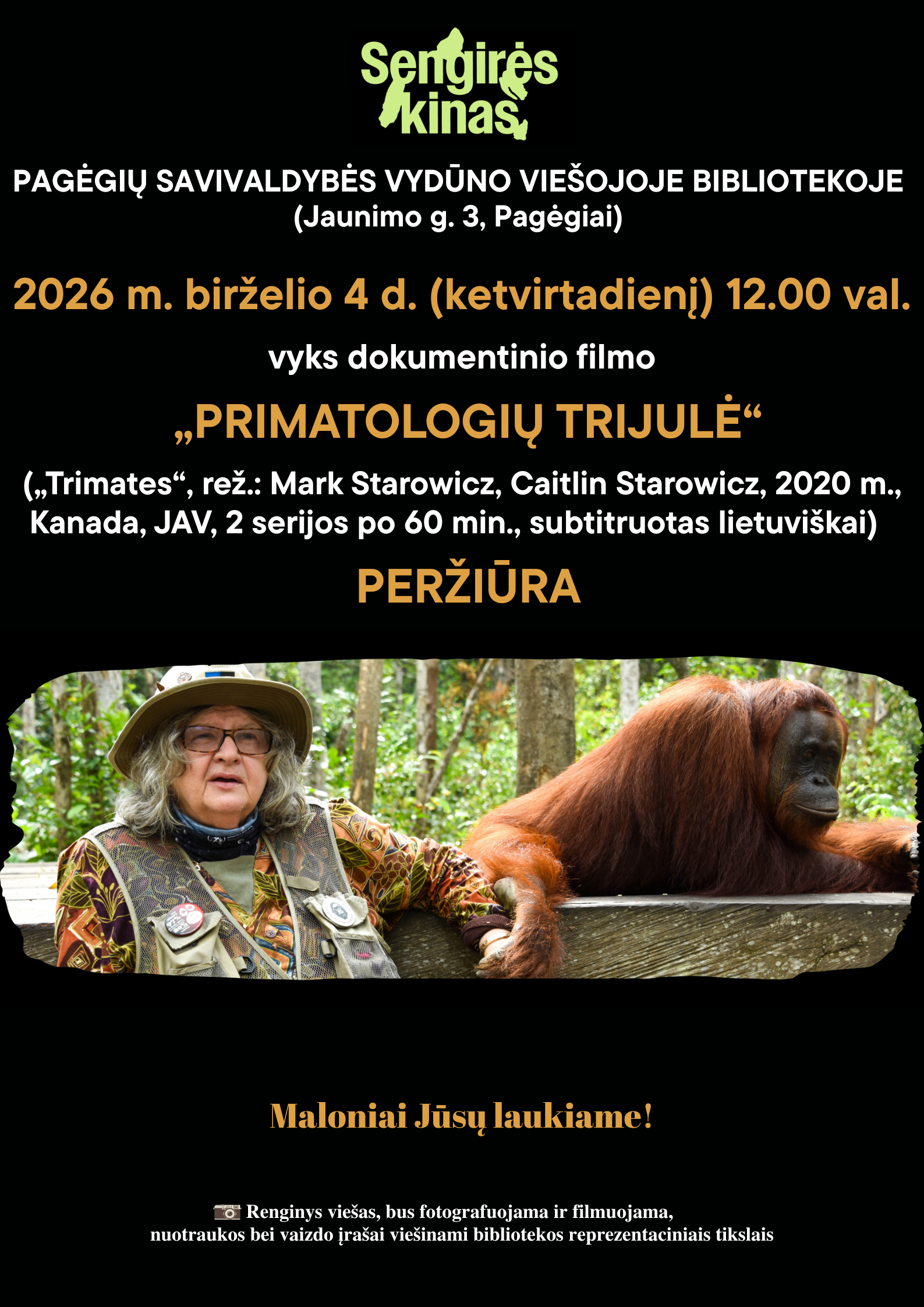 gorila