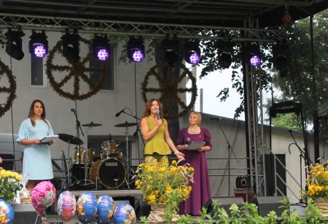 vicemerė