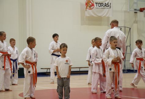 karatė