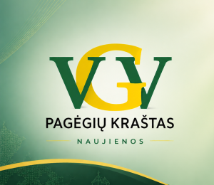 VVG pagrindinis