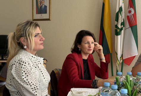 Diskusija
